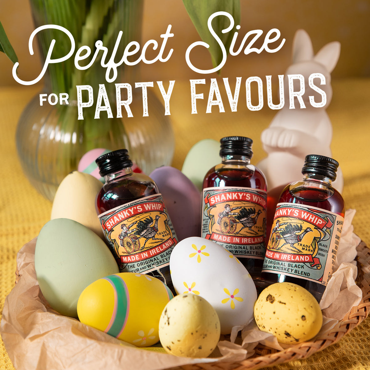 Shanky's Whip 15 x 50ml Gift Pack